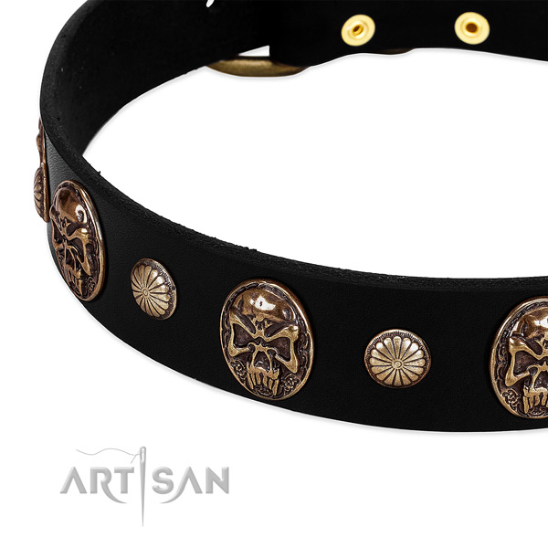 Full grain genuine leather dog collar with stylish studs