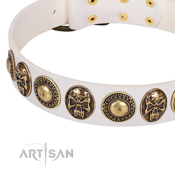 Strong decorations on genuine leather dog collar for your dog