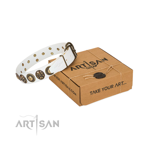 Corrosion resistant traditional buckle on dog collar for stylish walking