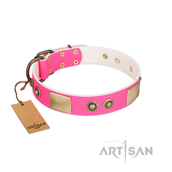 Corrosion proof embellishments on full grain natural leather dog collar for your doggie
