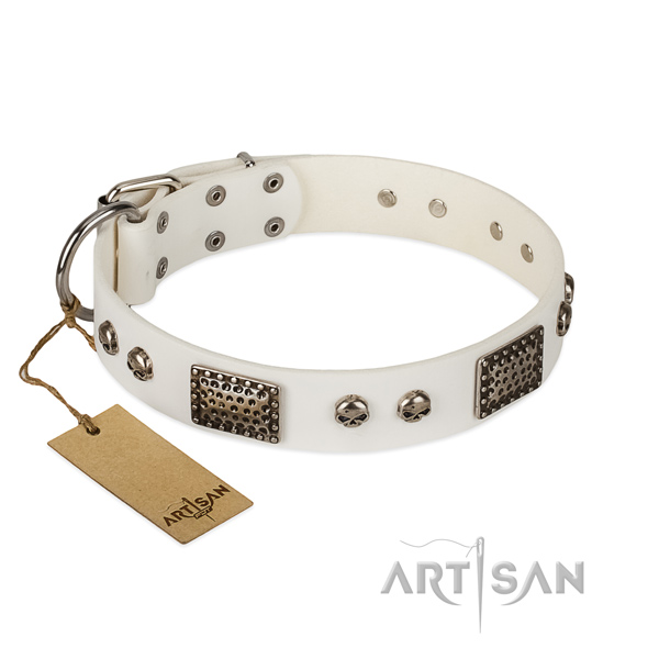 Easy to adjust leather dog collar for stylish walking your doggie
