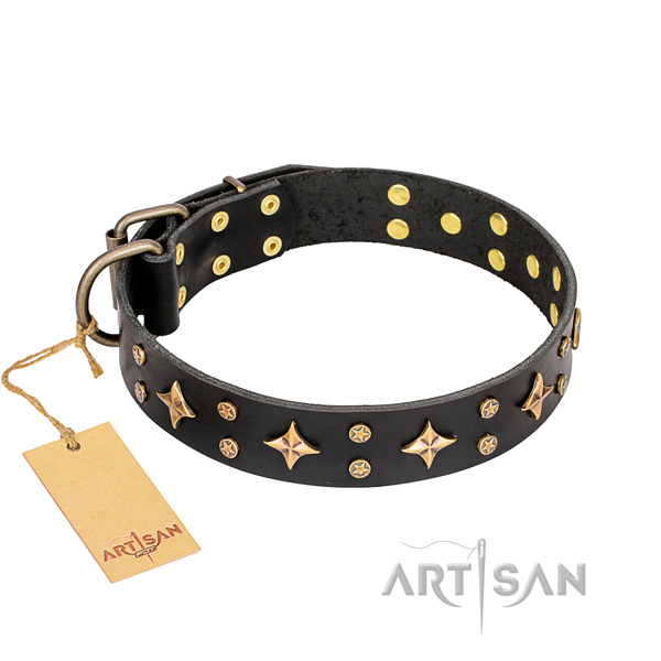 Stylish walking dog collar of strong genuine leather with embellishments