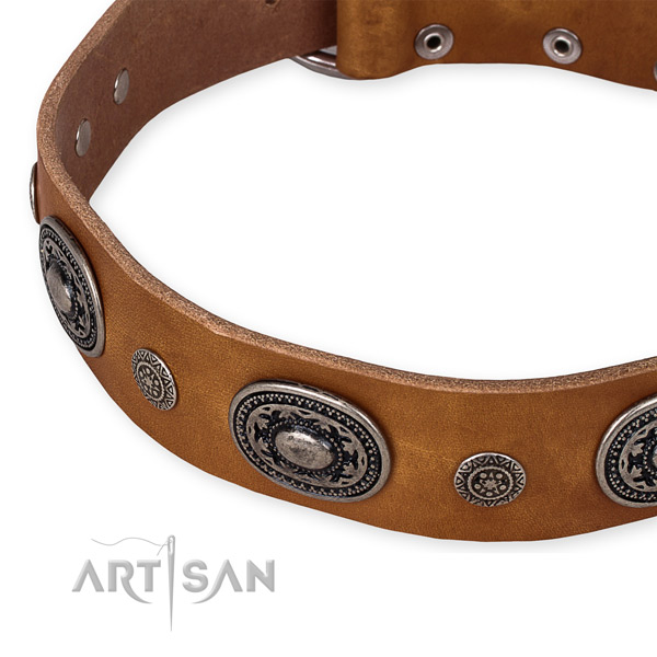 Quality leather dog collar made for your handsome canine