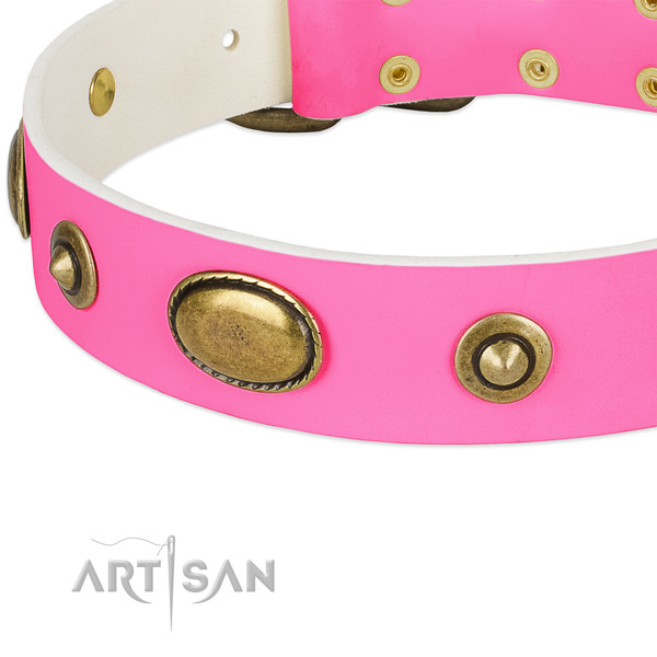 Reliable embellishments on natural leather dog collar for your canine