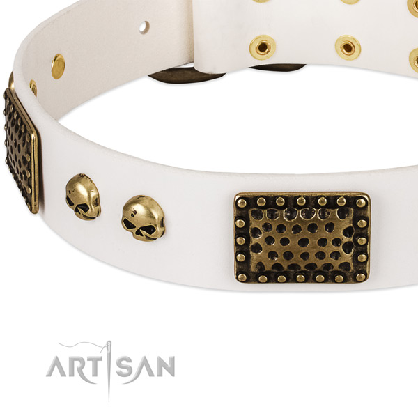 Reliable adornments on full grain leather dog collar for your canine