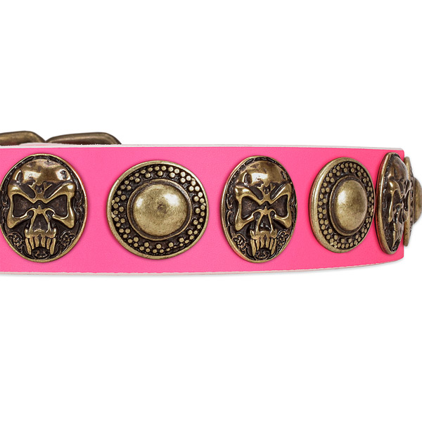 Strong decorations on leather dog collar for your dog
