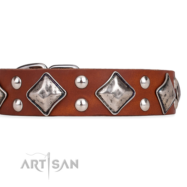 Natural leather dog collar with amazing corrosion proof decorations