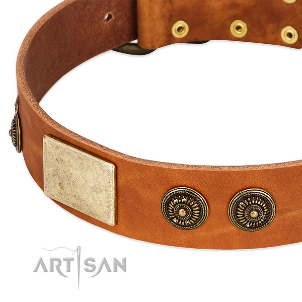 Embellished dog collar crafted for your impressive dog
