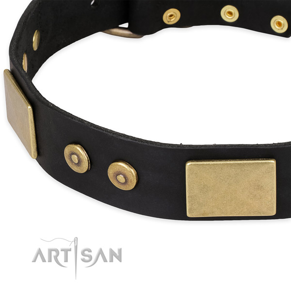 Reliable traditional buckle on natural genuine leather dog collar for your dog