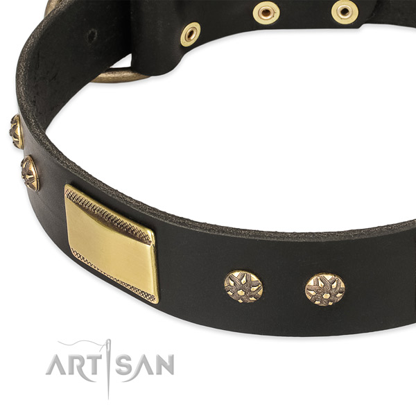 Reliable buckle on leather dog collar for your pet