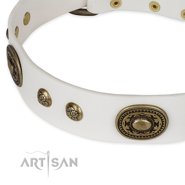 Incredible full grain leather collar for your attractive canine