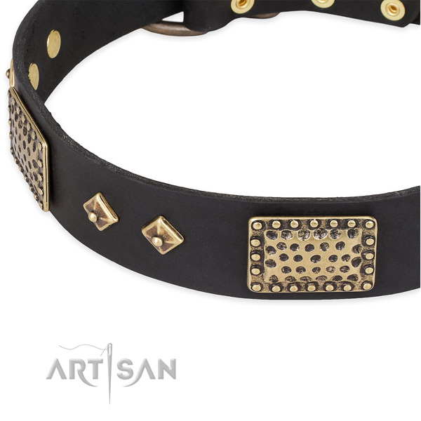 Corrosion resistant decorations on full grain leather dog collar for your dog