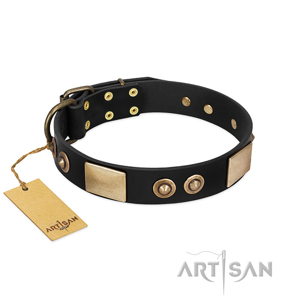 Easy to adjust full grain natural leather dog collar for basic training your dog