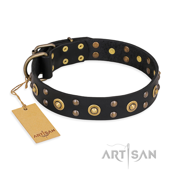 Easy wearing fashionable dog collar with rust-proof hardware