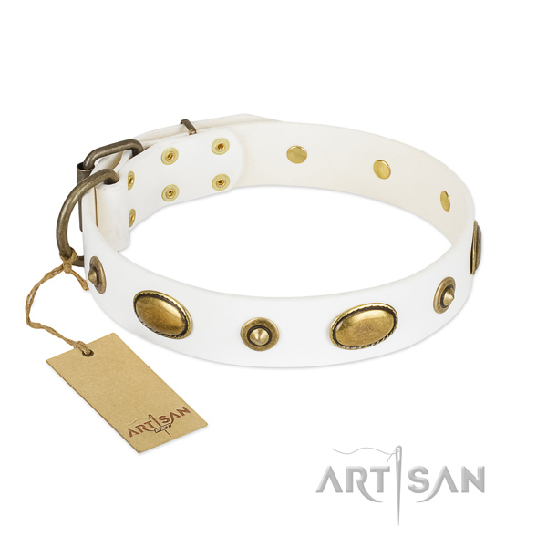 Trendy full grain leather collar for your canine