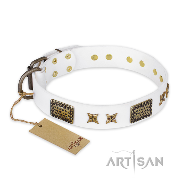 Trendy leather dog collar with rust-proof fittings