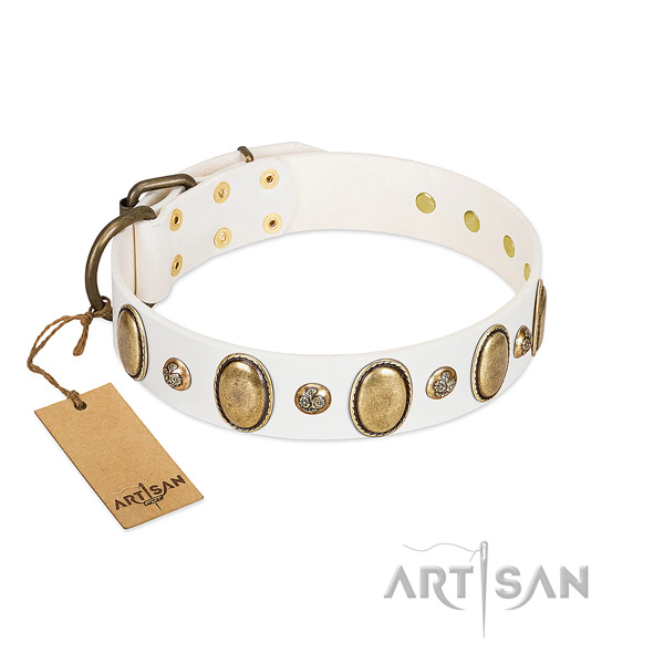 Full grain natural leather dog collar of top rate material with stylish studs
