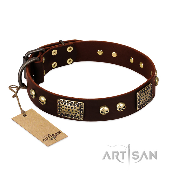 Easy wearing genuine leather dog collar for stylish walking your doggie