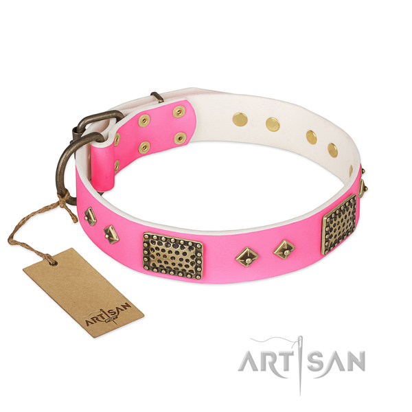 Easy adjustable genuine leather dog collar for everyday walking your canine