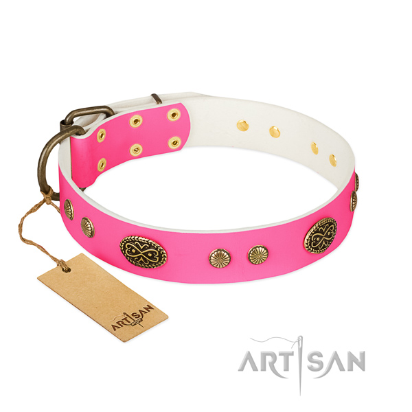 Corrosion resistant adornments on full grain genuine leather dog collar for your dog
