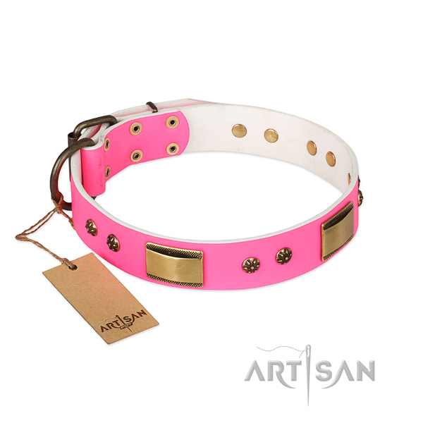 Fashionable full grain genuine leather collar for your doggie