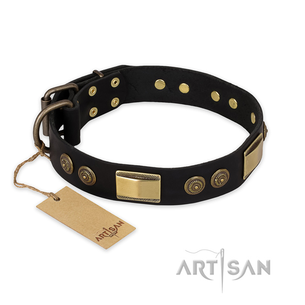 Amazing leather dog collar for daily walking