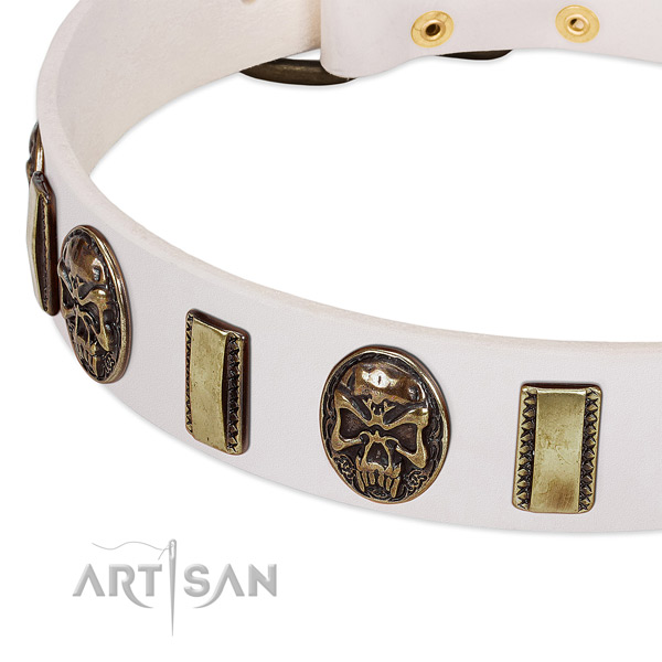 Corrosion proof studs on full grain leather dog collar for your doggie