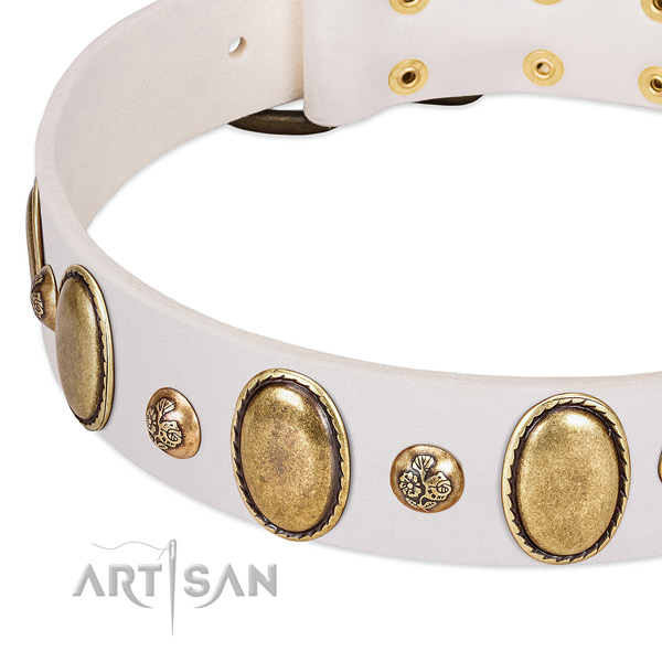 Natural leather dog collar with amazing adornments