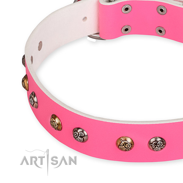 Full grain natural leather dog collar with awesome strong embellishments
