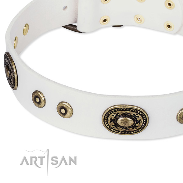 Full grain natural leather dog collar made of reliable material with decorations