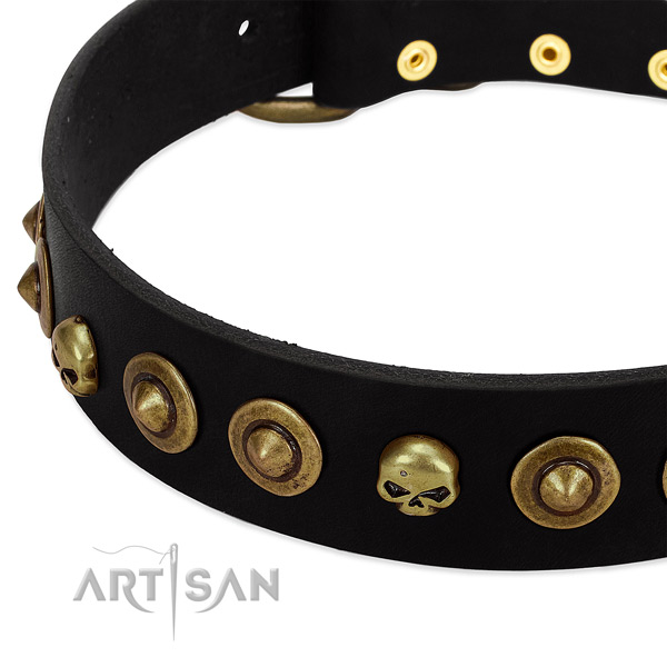 Full grain natural leather dog collar with unusual decorations