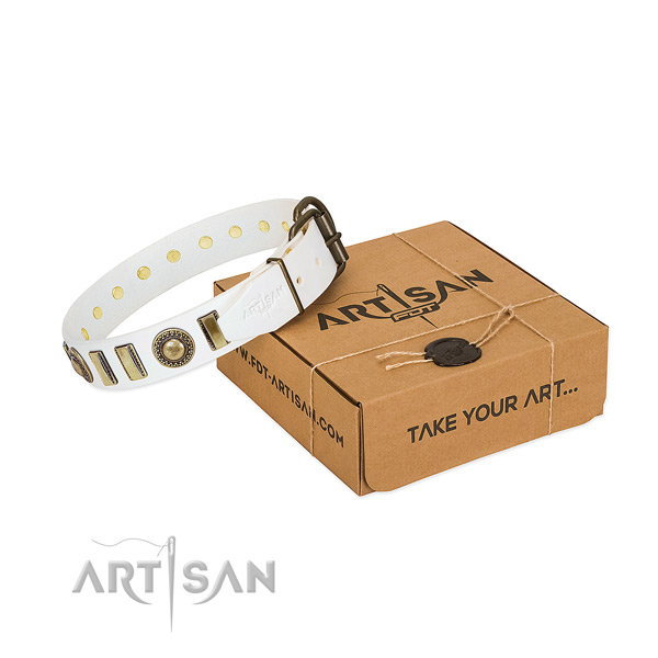 Top notch natural leather dog collar with strong fittings