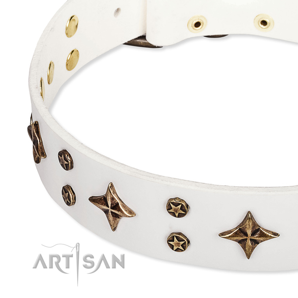 Daily use decorated dog collar of finest quality natural leather