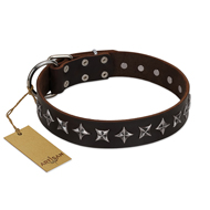"Stars of Glory" FDT Artisan Brown Leather Amstaff Collar for Comfortable Walking