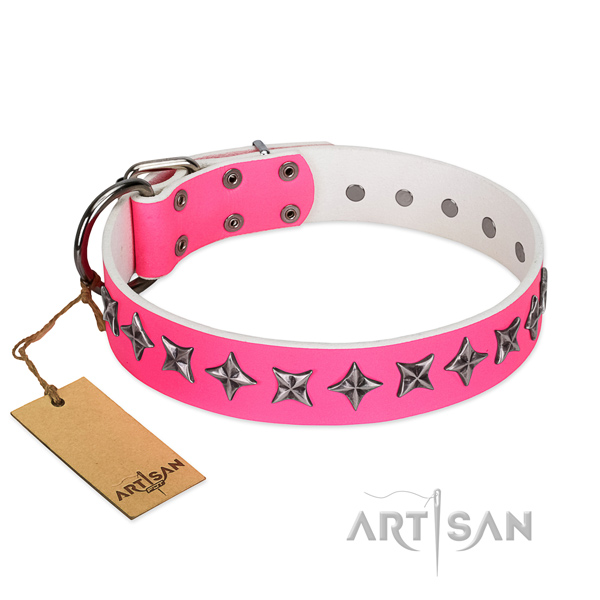 Quality full grain natural leather dog collar with extraordinary adornments