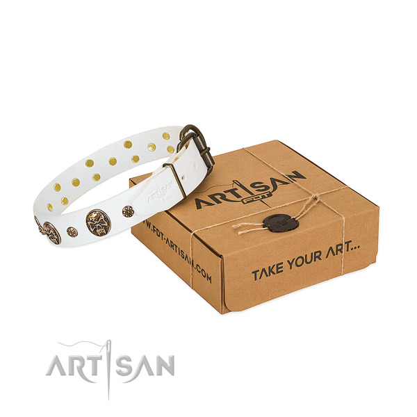 Remarkable genuine leather collar for your impressive pet