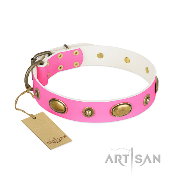 Unusual full grain natural leather collar for your four-legged friend