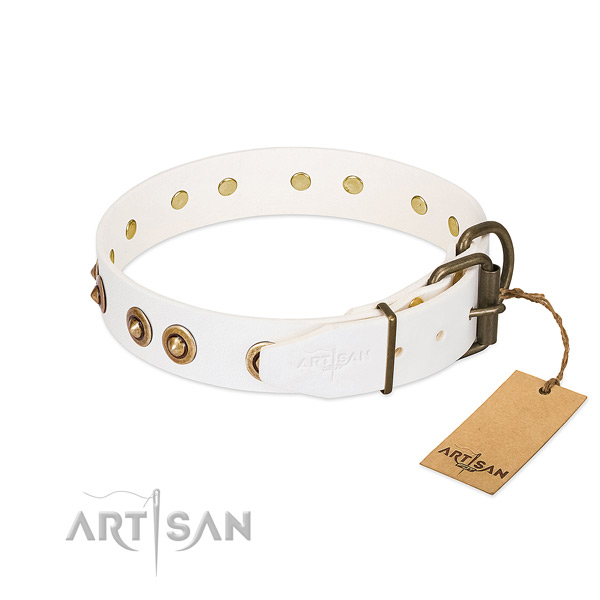 Rust resistant traditional buckle on leather dog collar for your four-legged friend