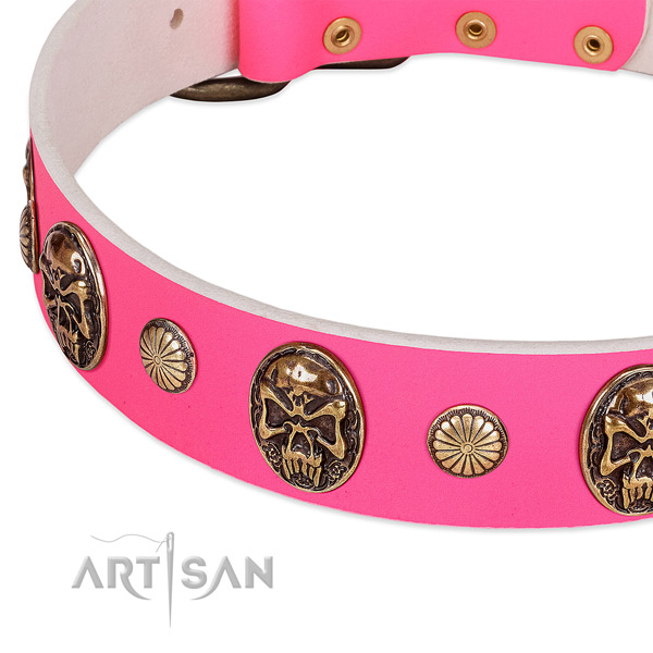 Corrosion resistant adornments on full grain genuine leather dog collar for your four-legged friend