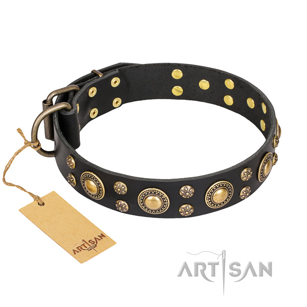 Basic training dog collar of top quality leather with embellishments