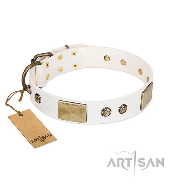 Easy to adjust leather dog collar for everyday walking your doggie