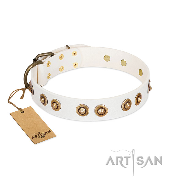Trendy leather collar for your doggie