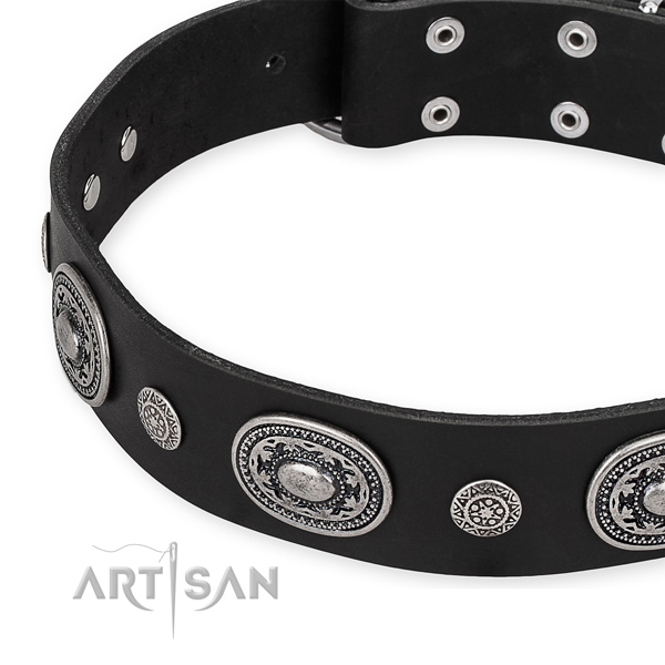 Reliable leather dog collar created for your stylish doggie