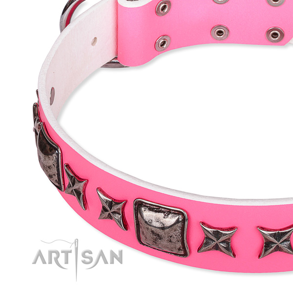 Fancy walking studded dog collar of strong full grain genuine leather