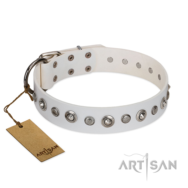 Fine quality full grain natural leather dog collar with stylish design decorations