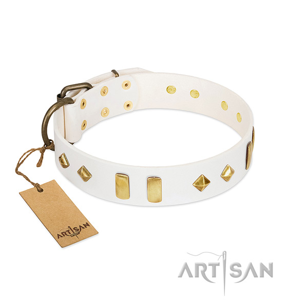 Easy wearing best quality leather dog collar with adornments