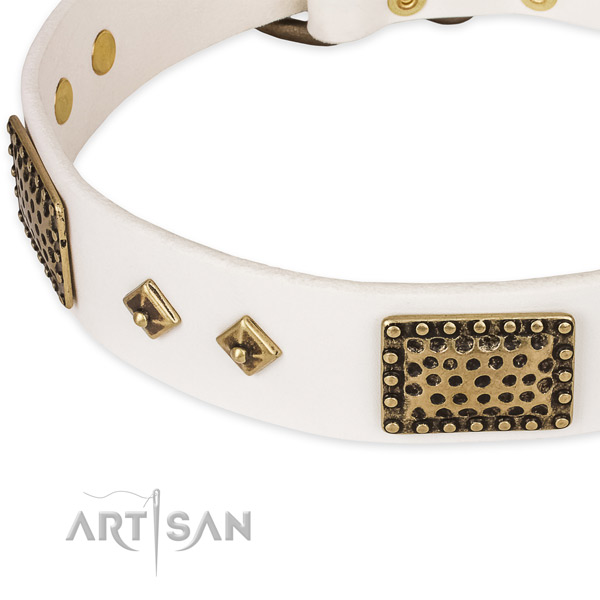 Rust resistant fittings on genuine leather dog collar for your doggie