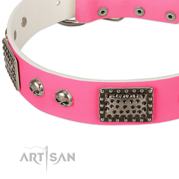 Corrosion proof traditional buckle on genuine leather dog collar for your four-legged friend