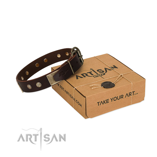 Strong buckle on dog collar for stylish walking