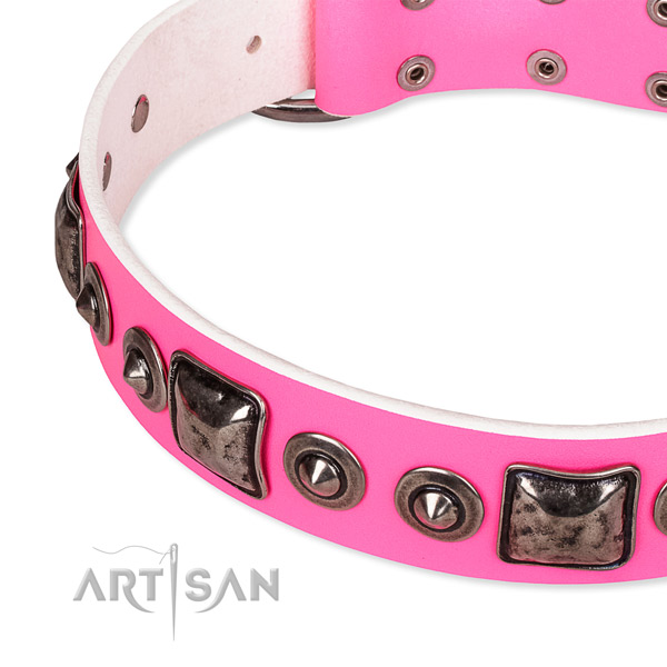 Top rate full grain genuine leather dog collar crafted for your stylish four-legged friend